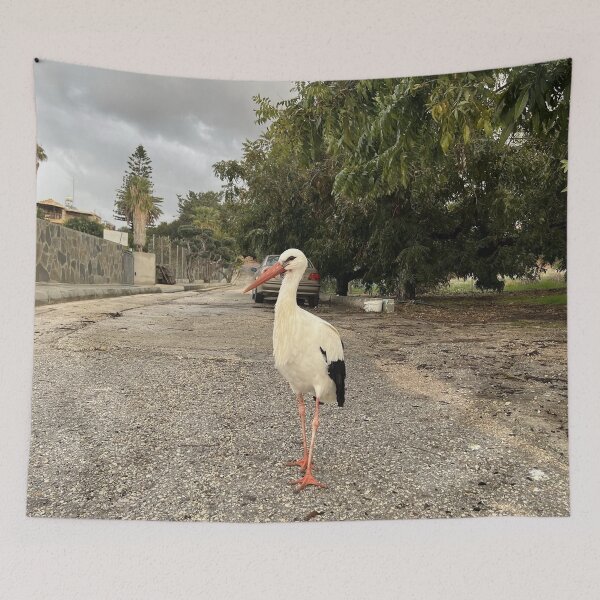 Item preview, Walking Stork designed and sold by Alexander Krishchyunas.