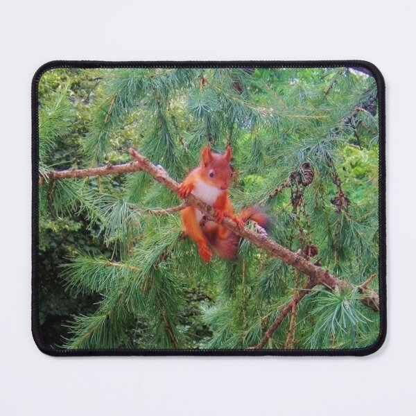 Item preview, Hanging in There designed and sold by Alexander Krishchyunas.
