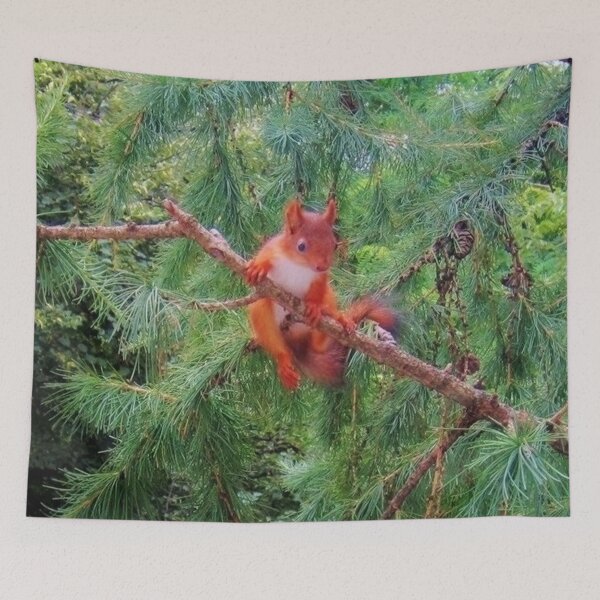Item preview, Hanging in There designed and sold by Alexander Krishchyunas.