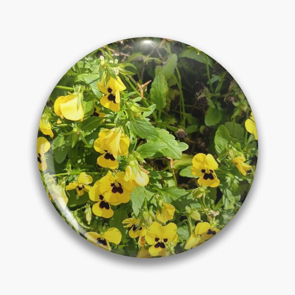 Item preview, Bright Yellow Pansy Flowers Blooming in Garden Sunlight designed and sold by PhuongVoArt.