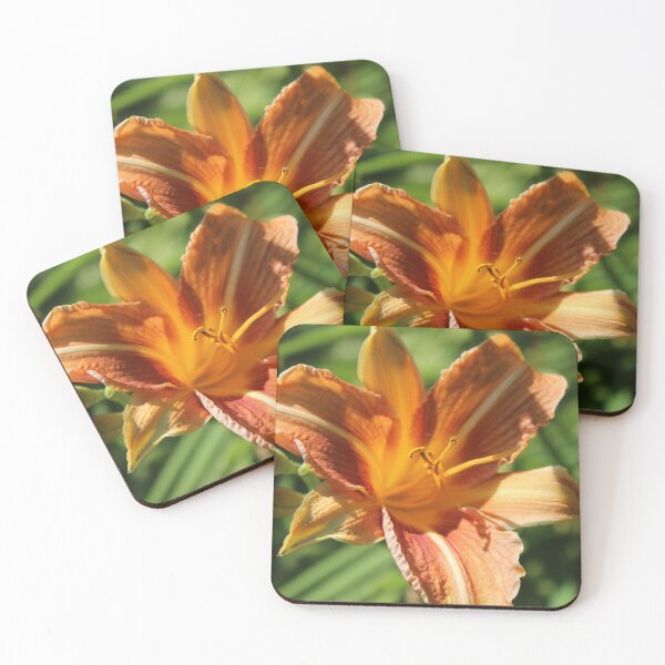 Item preview, Golden glow daylily- Soft nature photography designed and sold by Cha-s-lens.