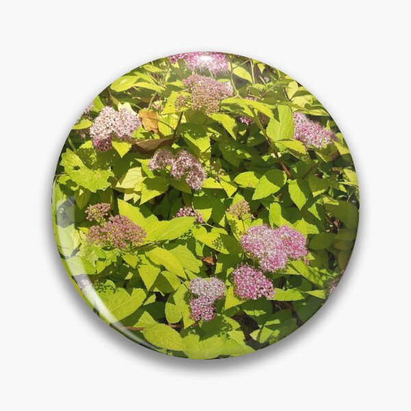 Item preview, Pink Spirea Flowers Blooming in Sunny Garden Landscape designed and sold by PhuongVoArt.