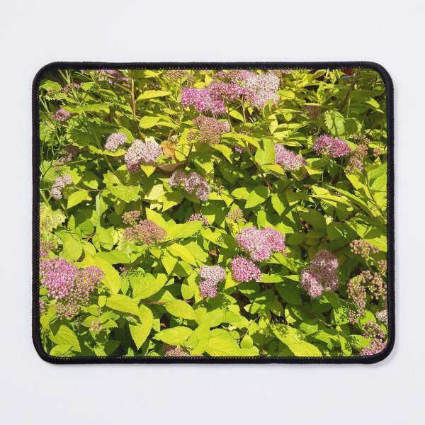 Item preview, Pink Spirea Flowers Blooming in Sunny Garden Landscape designed and sold by PhuongVoArt.