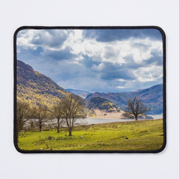 Item preview, Where sheep May Safely Graze designed and sold by Viv Thompson Photography .