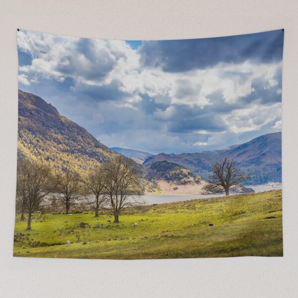 Item preview, Where sheep May Safely Graze designed and sold by Viv Thompson Photography .