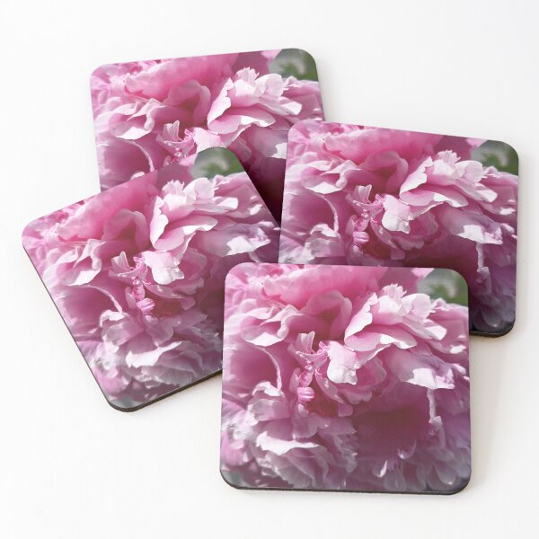 Item preview, Soft Pink Peony Blossom Macro in Natural Sunlight designed and sold by PhuongVoArt.