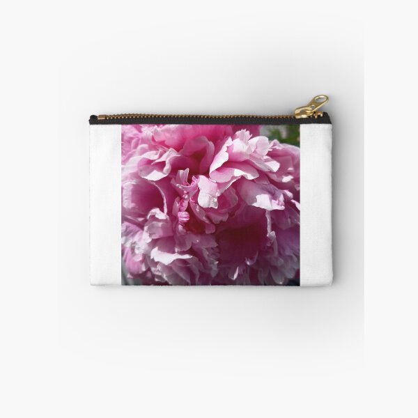 Item preview, Soft Pink Peony Blossom Macro in Natural Sunlight designed and sold by PhuongVoArt.