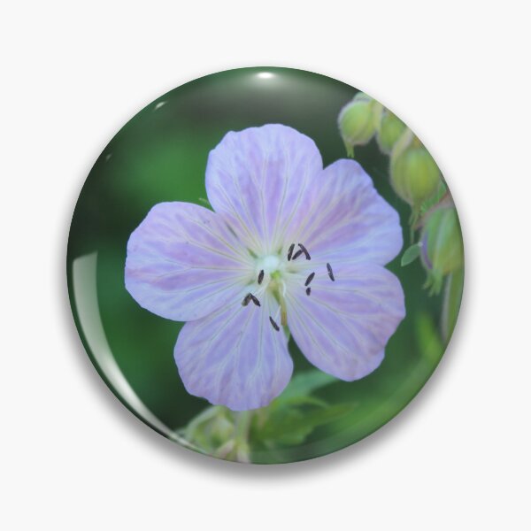 Item preview, Soft Lavender Cranesbill - Delicate Wild Geranium Macro designed and sold by Cha-s-lens.