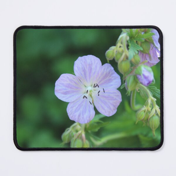 Item preview, Soft Lavender Cranesbill - Delicate Wild Geranium Macro designed and sold by Cha-s-lens.