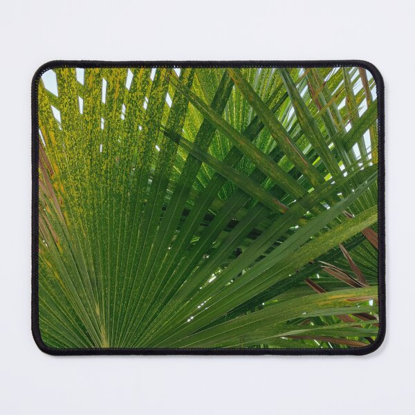 Item preview, Palm Fans designed and sold by GMTcreations.