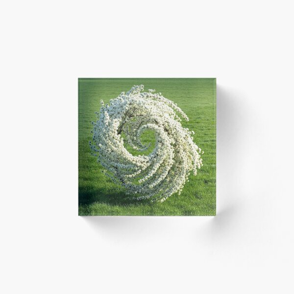 Item preview, A swirl of spring designed and sold by MariaTheExpert.