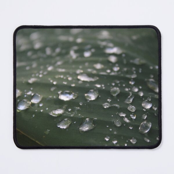 Item preview, Morning dew on emerald Leaf | Macro Nature Photography designed and sold by Cha-s-lens.