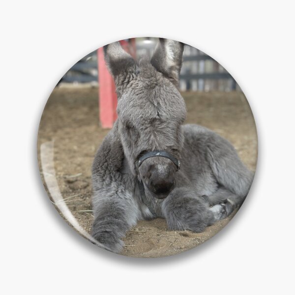 Item preview, Noel in the Arena designed and sold by Mary Dansak.