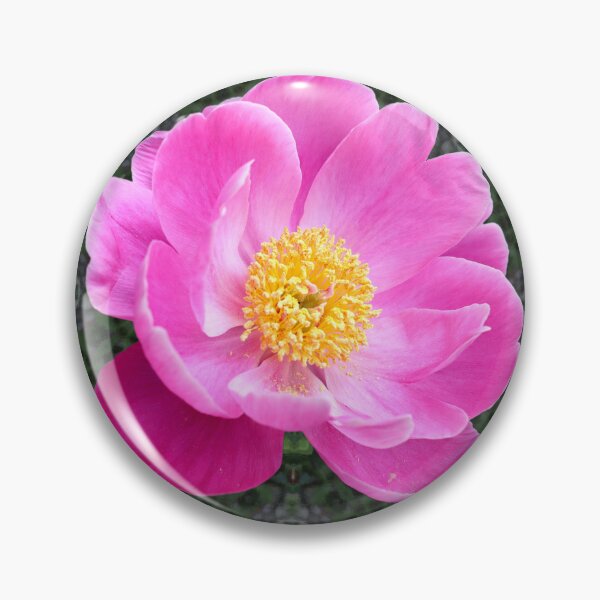 Item preview, Chinese Peony Wall Clock or Pillow designed and sold by BostonArcImage.