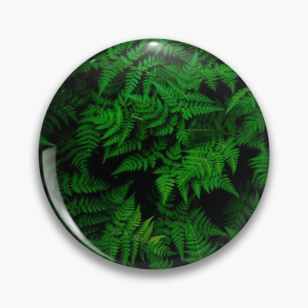 Item preview, Lush Green Forest Ferns - Moody Botanical Nature Photography designed and sold by JohnManuelPhoto.