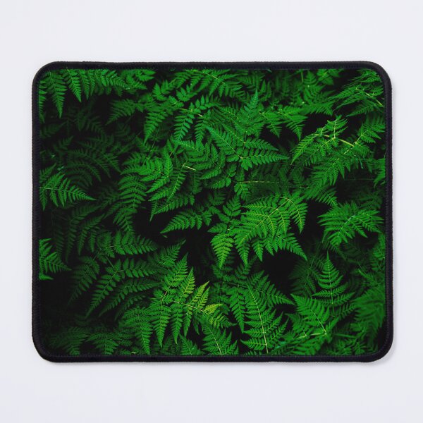 Item preview, Lush Green Forest Ferns - Moody Botanical Nature Photography designed and sold by JohnManuelPhoto.
