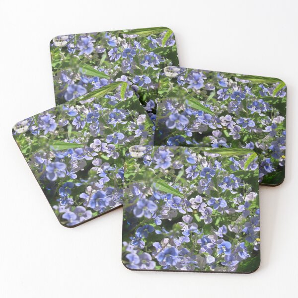 Item preview, speedwell, original designed and sold by sylvancaps.