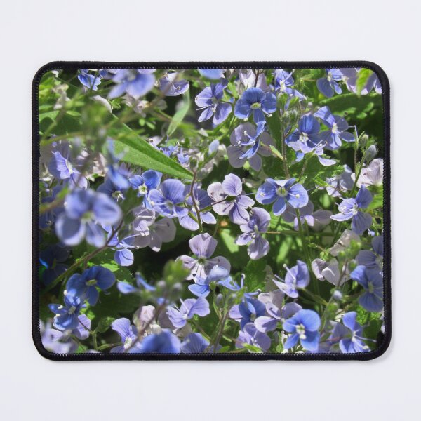 Item preview, speedwell, original designed and sold by sylvancaps.