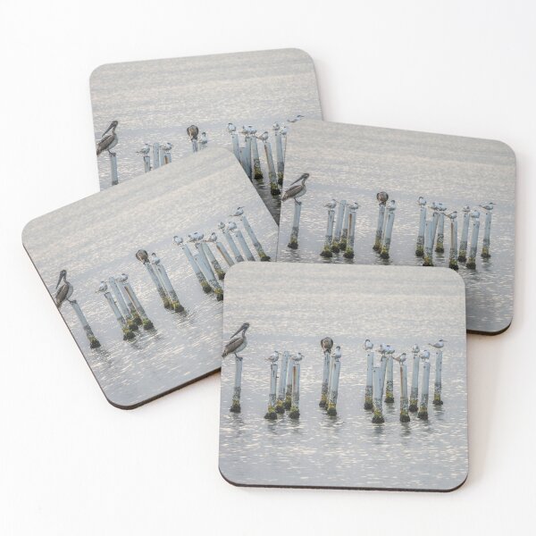Item preview, Sea Bird Section designed and sold by CopperSkyPhoto.