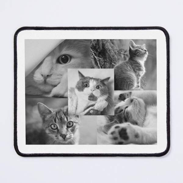 Item preview, Curious Cats Monochrome Collage Art "Cute Cats Black and White Photo Collage" designed and sold by PixelVibe Art.