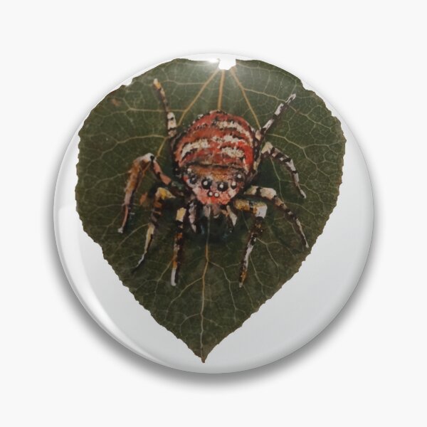 Item preview, Spider  designed and sold by upnorthprint.