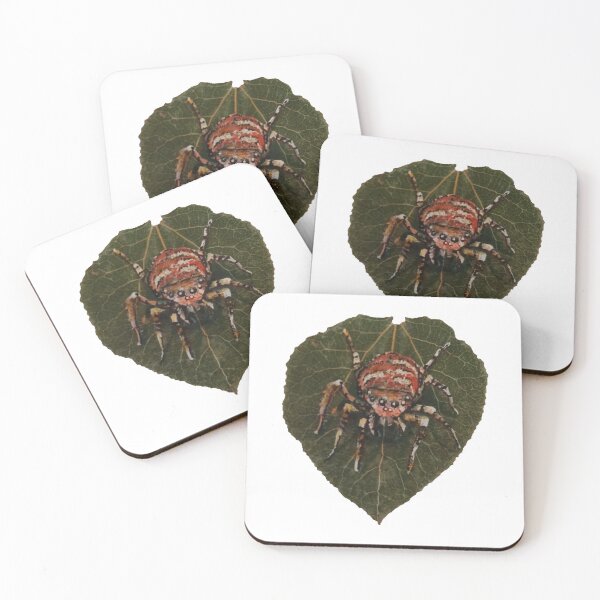 Item preview, Spider  designed and sold by upnorthprint.