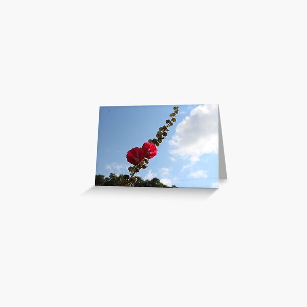 Stretch into the sky Greeting Card