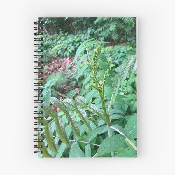 Item preview, Forest Edge Plants designed and sold by Amanda1775.