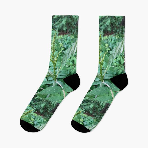 Item preview, Forest Edge Plants designed and sold by Amanda1775.