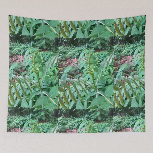 Item preview, Forest Edge Plants designed and sold by Amanda1775.