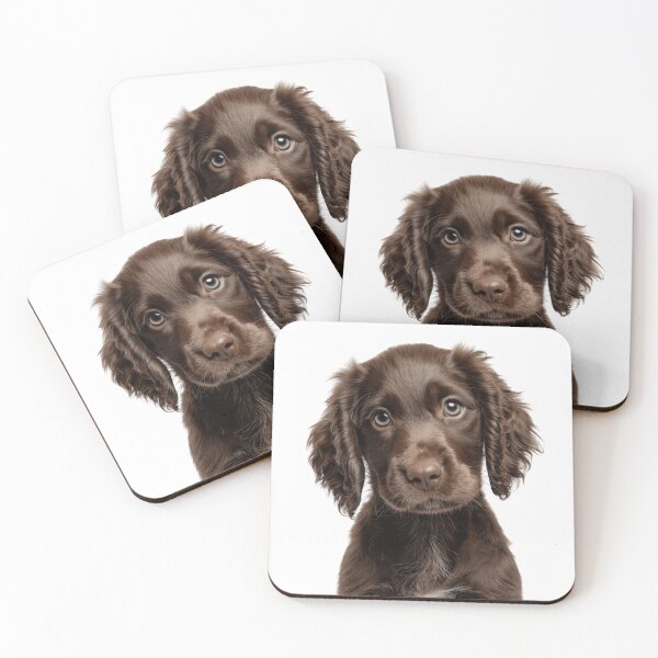 Item preview, Adorable Field Spaniel puppy for Cute Liver Field Spaniel puppy lovers designed and sold by LazyOwlStore.