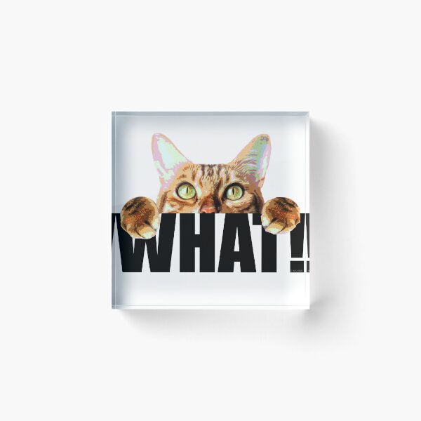 Item preview, Curious cat saying What! designed and sold by E-W-D.