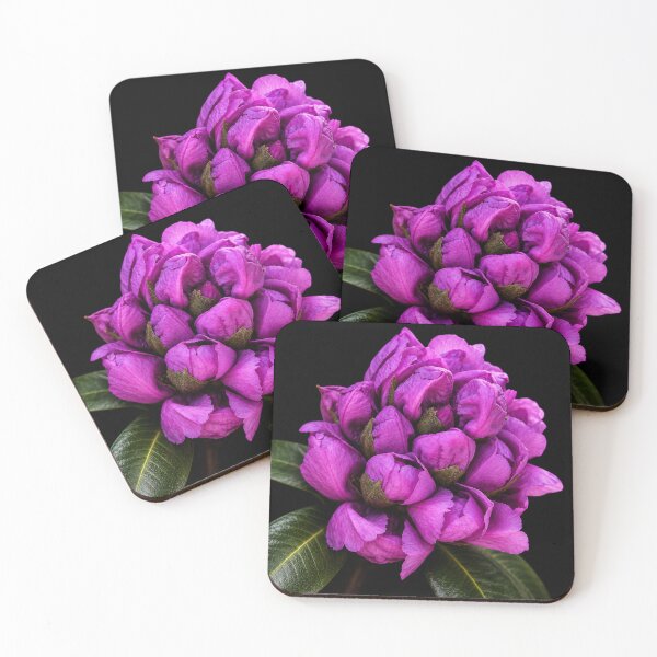 Item preview, Velvet Bloom designed and sold by Kimberly Palmer.