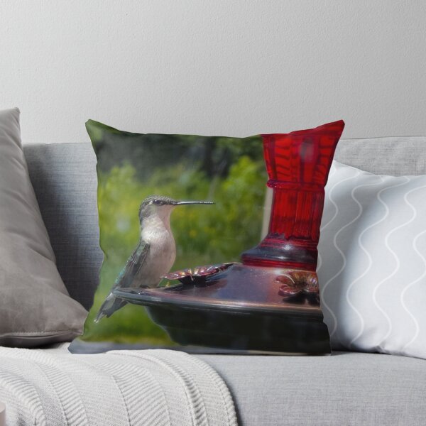 Item preview, Sat Up Straight for the Camera designed and sold by Shelby Wandel's iPhone Photography.