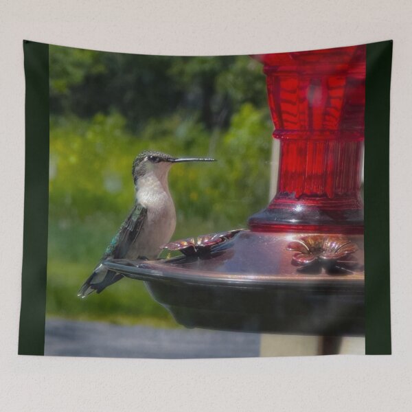 Item preview, Sat Up Straight for the Camera designed and sold by Shelby Wandel's iPhone Photography.