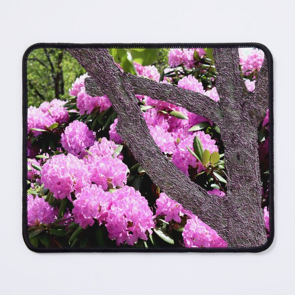 Item preview, Rhododendrons With Colorful Textured Tree in Front designed and sold by BostonArcImage.