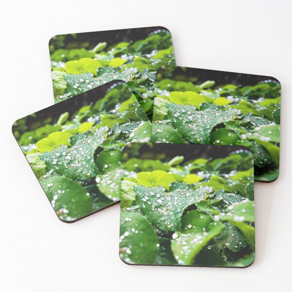 Item preview, Natures Drops designed and sold by Ernie Steven Dickey.