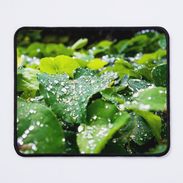 Item preview, Natures Drops designed and sold by Ernie Steven Dickey.