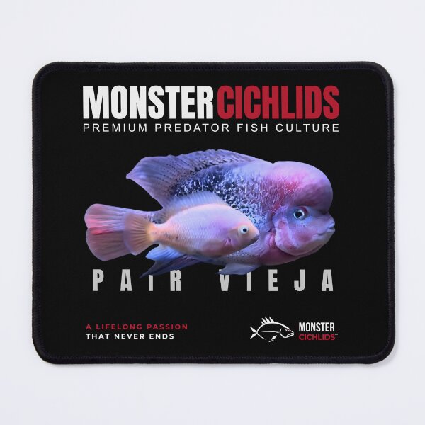 Item preview, Monster Cichlids Vieja Breeding Pair Cichlid T-Shirt designed and sold by MonsterCichlidsTV.