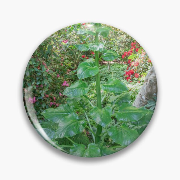 Item preview, Beautiful Garden Plants  designed and sold by Ernie Steven Dickey.