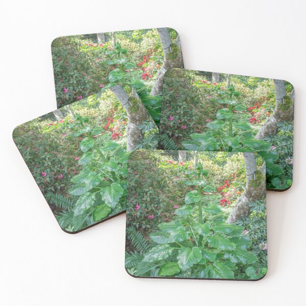 Item preview, Beautiful Garden Plants  designed and sold by Ernie Steven Dickey.