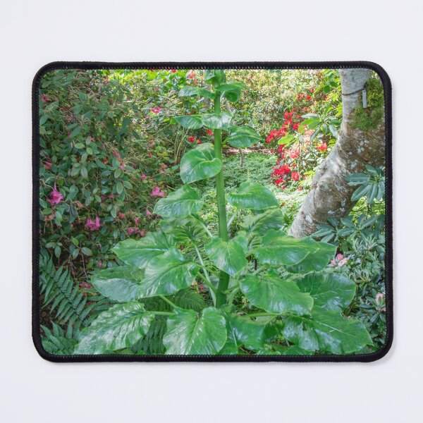 Item preview, Beautiful Garden Plants designed and sold by Ernie Steven Dickey.