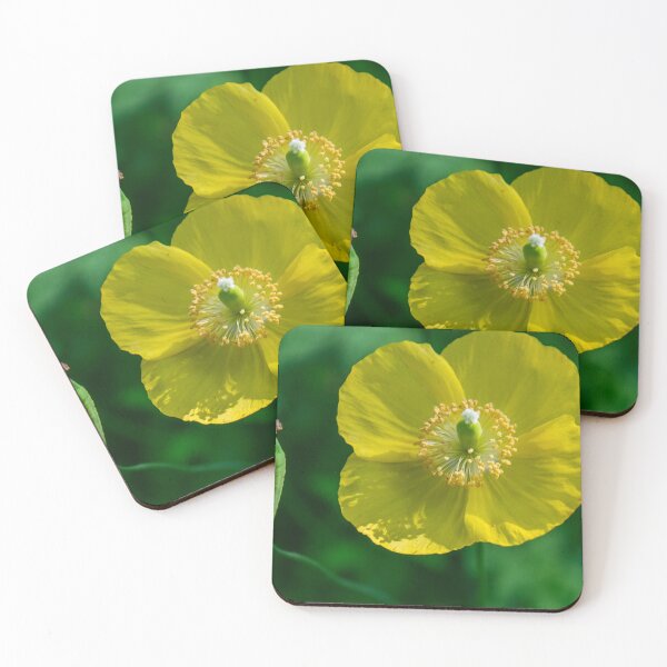 Item preview, Beautiful Garden Plants  designed and sold by Ernie Steven Dickey.