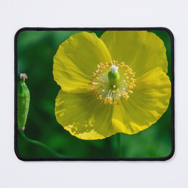 Item preview, Beautiful Garden Plants  designed and sold by Ernie Steven Dickey.