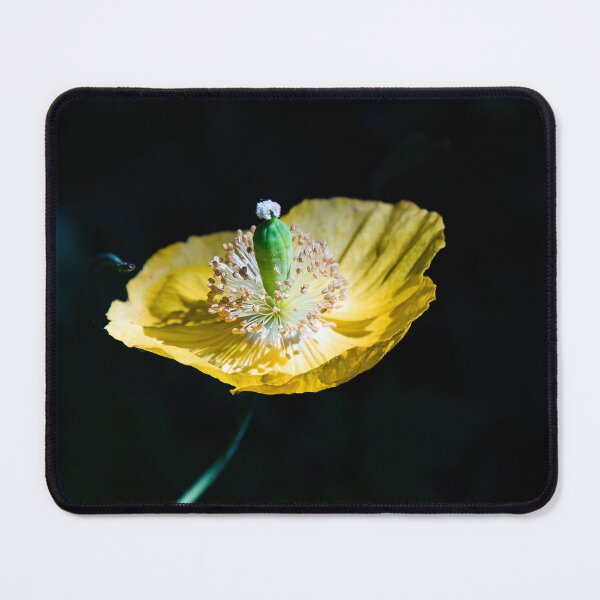 Item preview, Beautiful Garden Flower designed and sold by Ernie Steven Dickey.