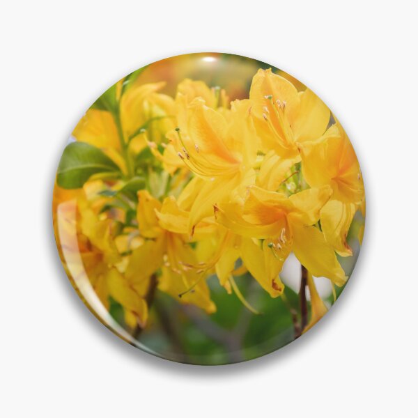 Item preview, Beutiful Flowers designed and sold by Ernie Steven Dickey.