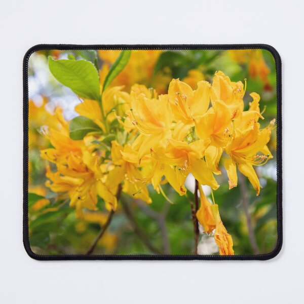 Item preview, Beutiful Flowers designed and sold by Ernie Steven Dickey.