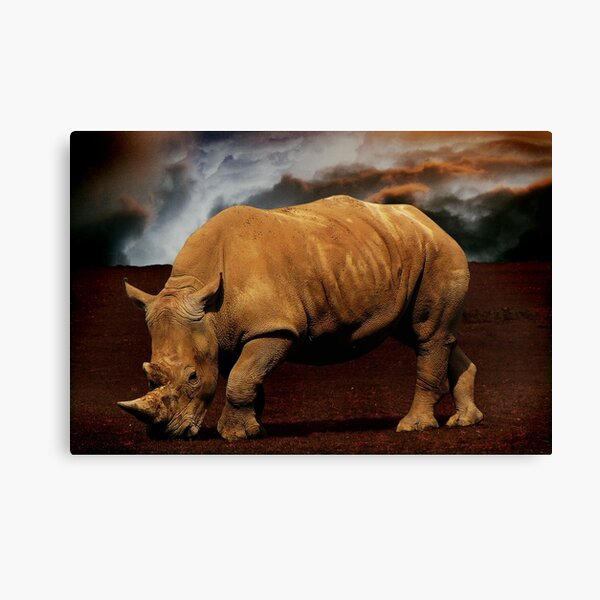 The Storm Canvas Print