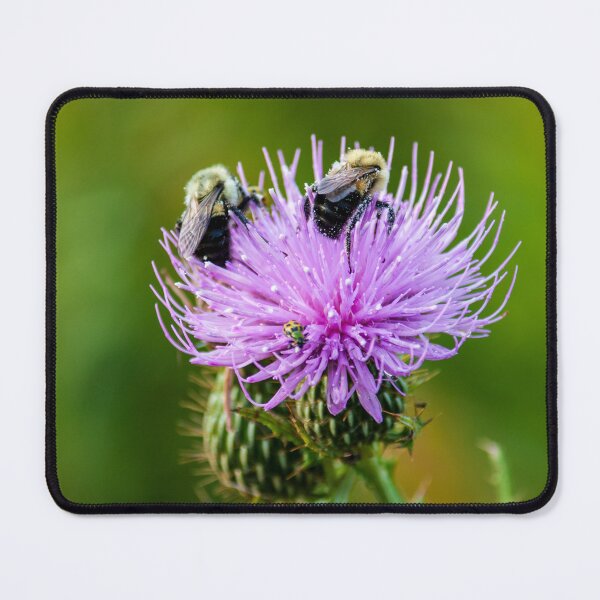 Item preview, Bees on Thistle designed and sold by Melluna Studio.