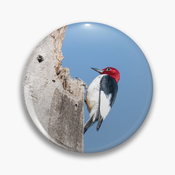 Item preview, Red-Headed Woodpecker on Tree Trunk designed and sold by Debra Martz.